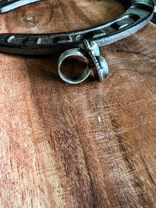 The High Desert Ring by Travis J.