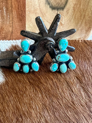 The Carico Canyon Earrings by Juanita McDonald
